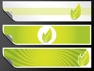 Image showing Eco banner set in green color 