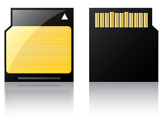 Image showing Labeled Mini Sd card 