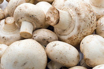 Image showing Champignon mushrooms