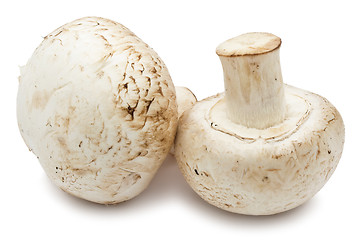 Image showing Champignon mushrooms