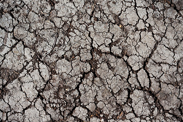 Image showing Dry land