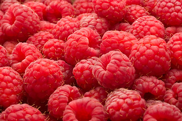 Image showing Raspberries