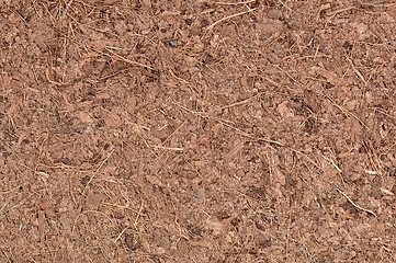 Image showing Coconut Coir Macro