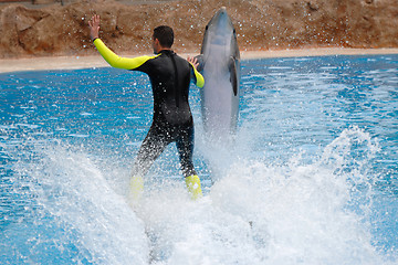 Image showing Man and dolphin