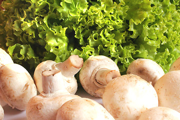 Image showing agaric and lettuce ready for the cooking