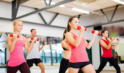 Image showing group of smiling people working out with dumbbells