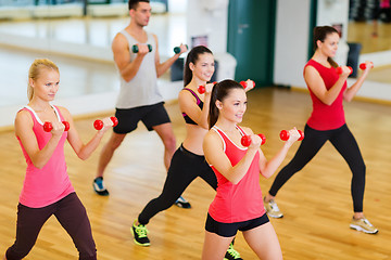 Image showing group of smiling people working out with dumbbells