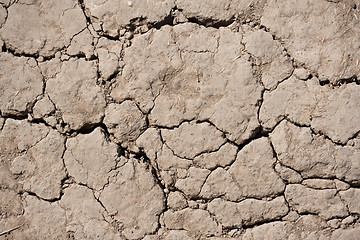 Image showing Dry land