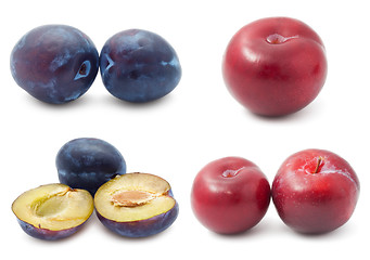 Image showing Plum