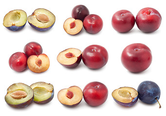 Image showing Plum