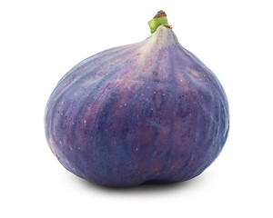 Image showing Fig