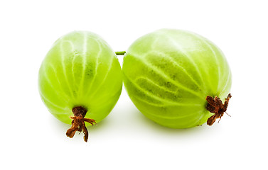 Image showing Gooseberries