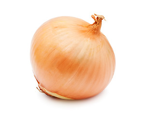 Image showing Onion