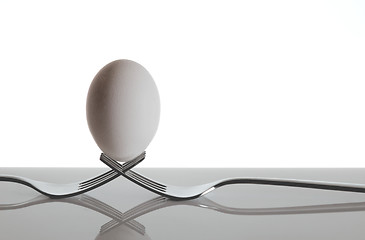 Image showing Hen's Egg