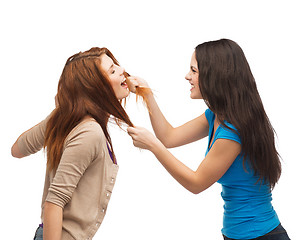 Image showing two teenagers having a fight and getting physical