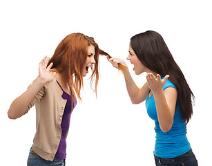 Image showing two teenagers having a fight and getting physical