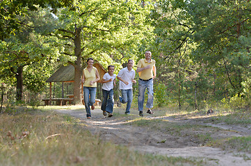 Image showing In a green summer park