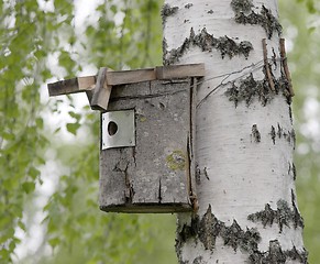 Image showing Bird house