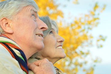 Image showing Senior couple in park