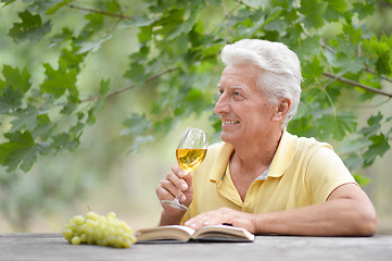 Image showing Old man drinking wine and reading a book