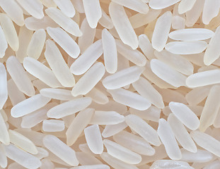 Image showing white steamed rice dry super macro background texture