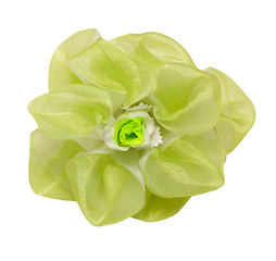 Image showing barrette hair green flower isolated  clipping