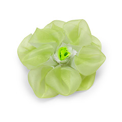 Image showing green artificial flower isolated