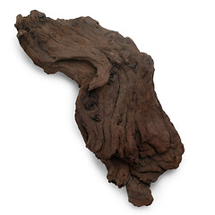 Image showing piece brown old tree isolated 