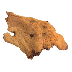 Image showing brown piece of an old tree isolated on white background (clippin