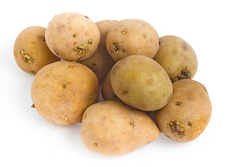 Image showing potatoes isolated on a white background