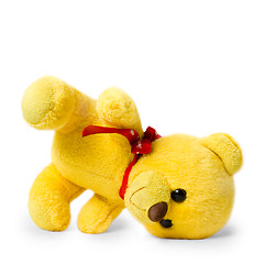 Image showing teddy bear is yellow on a white background