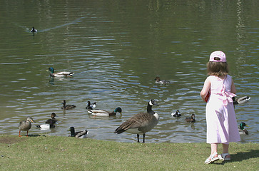 Image showing young girl feeds the birds