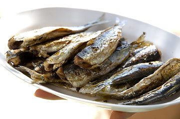 Image showing sardines