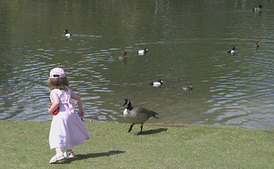 Image showing young girl feeds birds