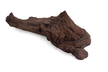 Image showing brown aquarium piece of an old tree isolated on white background