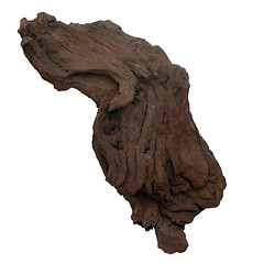 Image showing piece brown old tree isolated (clipping path)