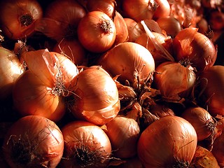 Image showing onions texture