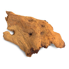 Image showing brown piece of an old tree isolated on white background