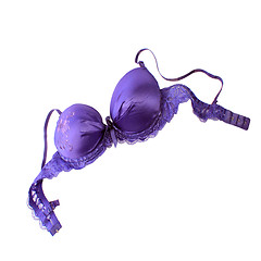 Image showing purple bra isolated on white background