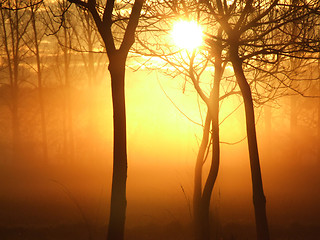Image showing Sunrise on a misty morning