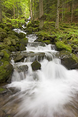 Image showing Waterfall in a green forest