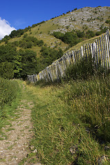 Image showing Walking path lined by picket fence in the English peak district