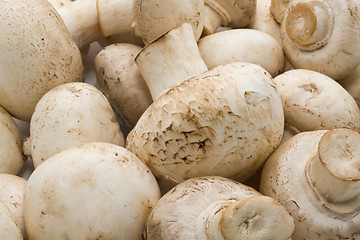 Image showing Champignon mushrooms