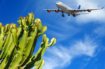 Image showing Plane and tropical destination