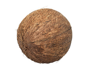 Image showing Coconut