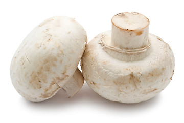 Image showing Champignon mushrooms