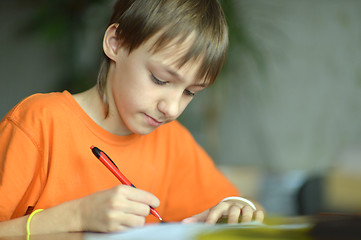 Image showing Pleasant boy at home