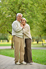 Image showing Elderly couple in park
