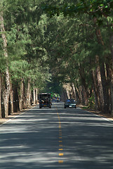 Image showing Road under trees