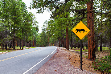 Image showing Grand Canyon Road